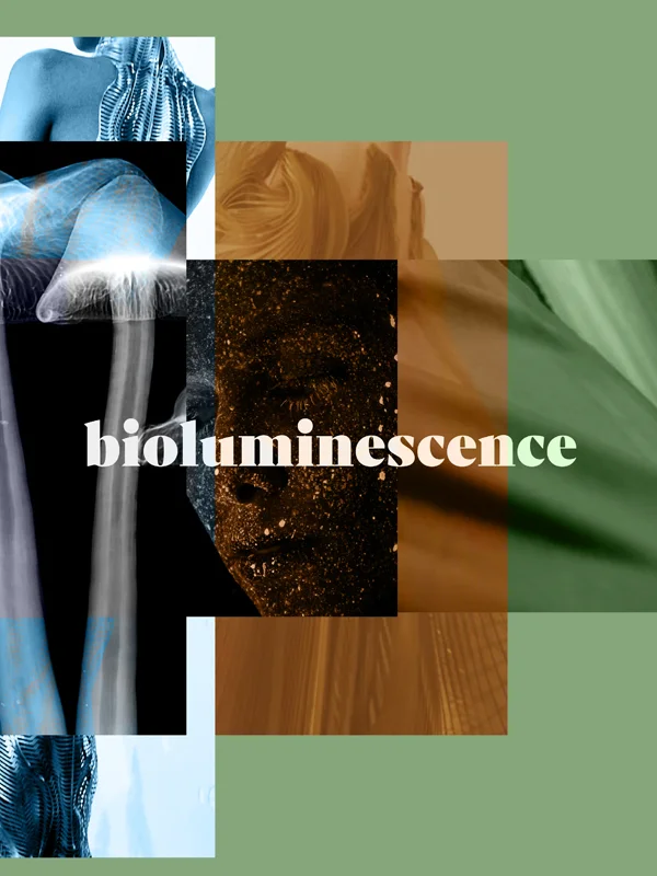 bioluminence