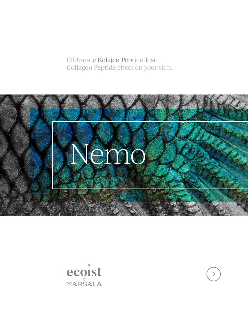 ecoist-sosyal-medya-eylul22-2-nemo-1_1668436338030