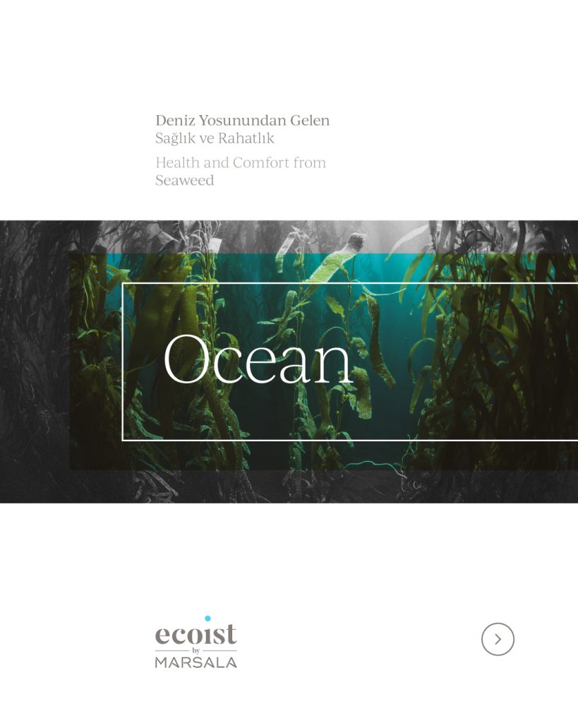 ecoist-sosyal-medya-eylul22-2-ocean-1_1668426311427